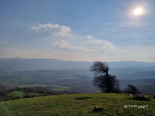 عکس شاه نشین (پش بالا)