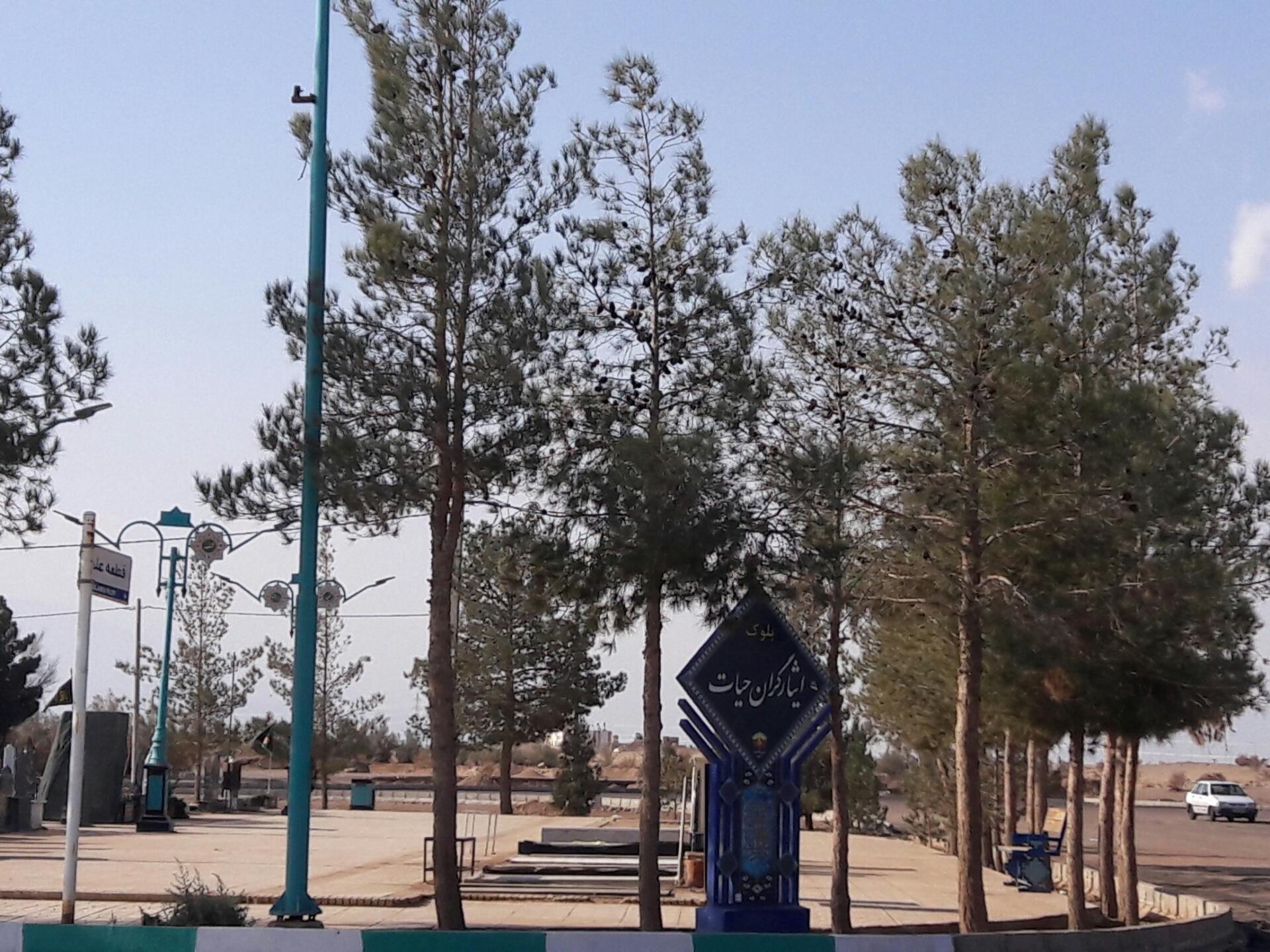 عکس بلوک ایثارگران حیات