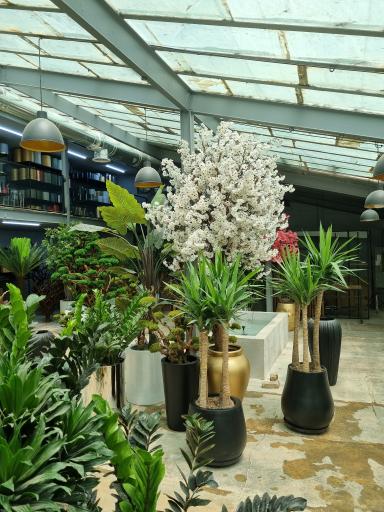 عکس گلخانه شاهپسند