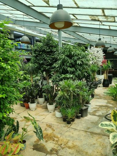 عکس گلخانه شاهپسند