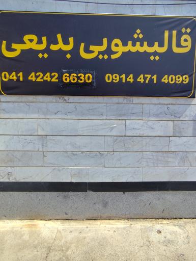 قالی شویی بدیعی 