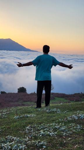 عکس شاه نشین (پش بالا)