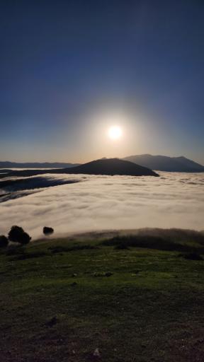 عکس شاه نشین (پش بالا)