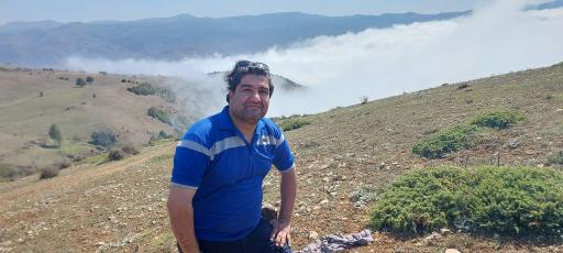 عکس شاه نشین (پش بالا)