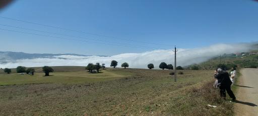 عکس شاه نشین (پش بالا)