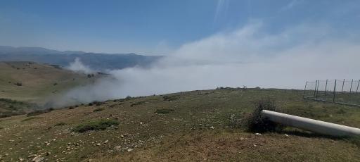 عکس شاه نشین (پش بالا)