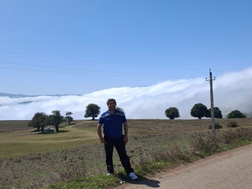 عکس شاه نشین (پش بالا)