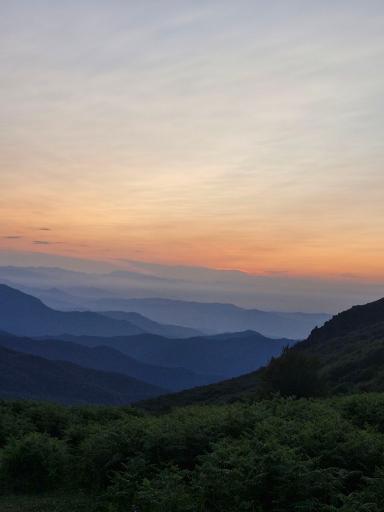 عکس شاه نشین (پش بالا)