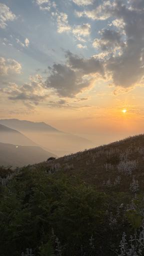 عکس شاه نشین (پش بالا)