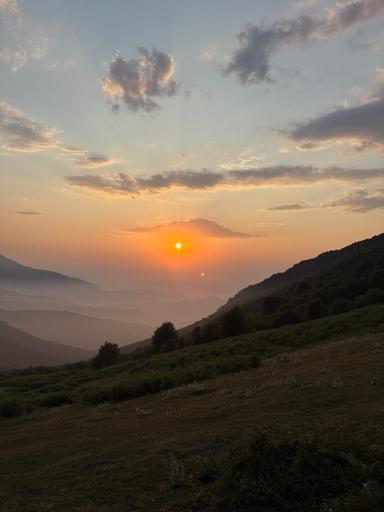 عکس شاه نشین (پش بالا)