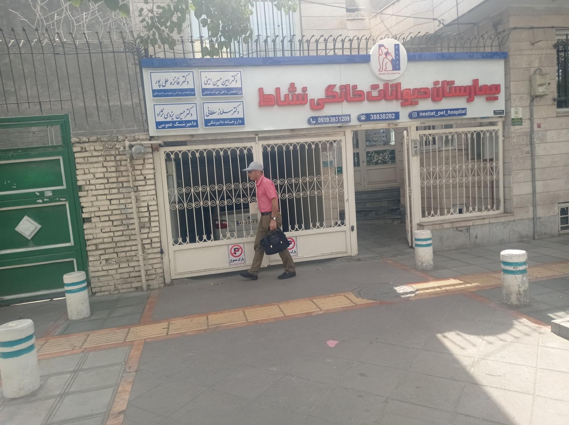 عکس دکتر فائزه علیپور بیهوشی دامپزشکی