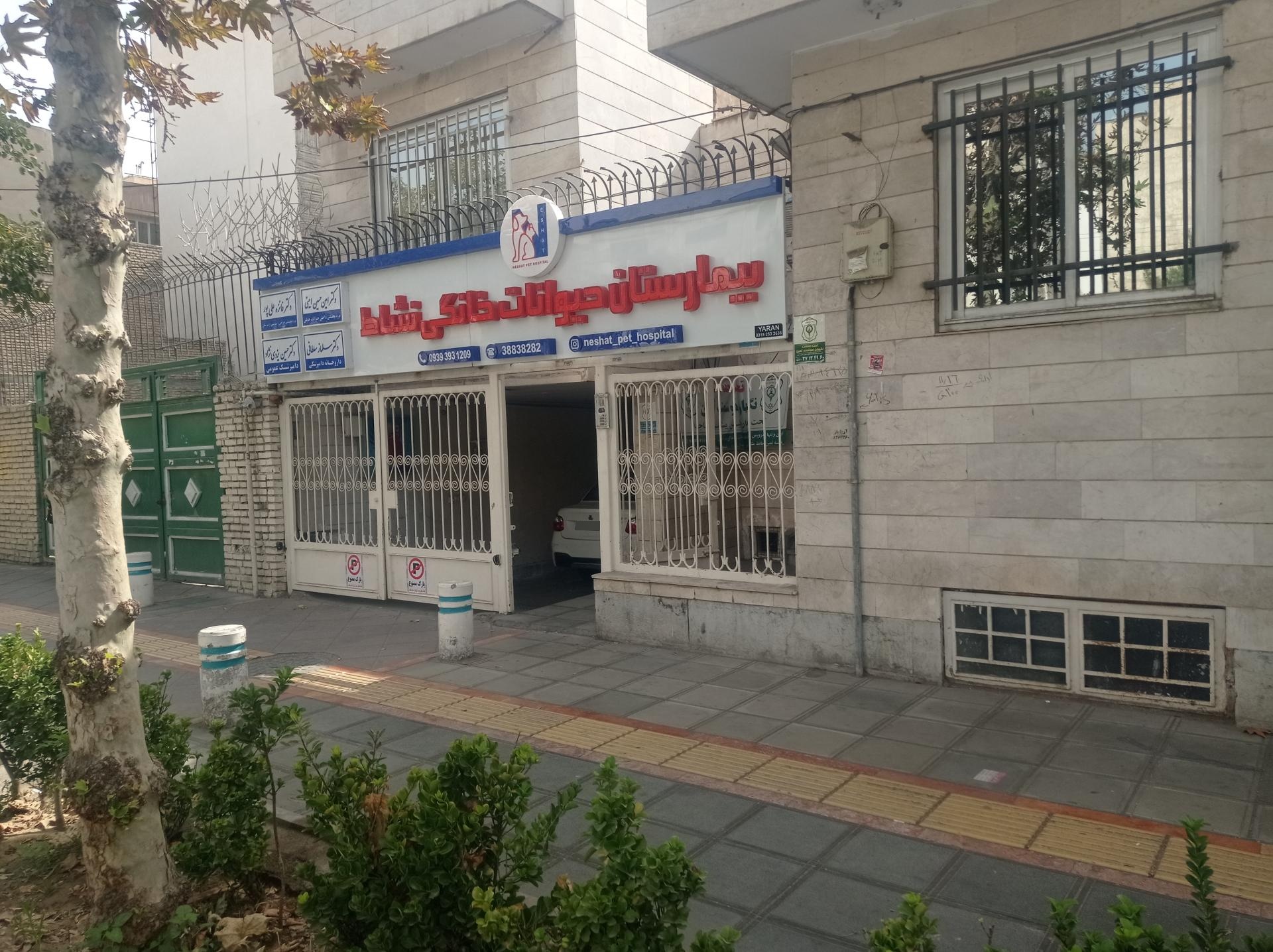 عکس دکتر فائزه علیپور بیهوشی دامپزشکی