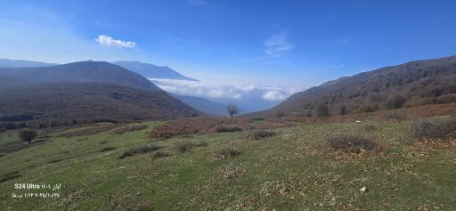 عکس شاه نشین (پش بالا)