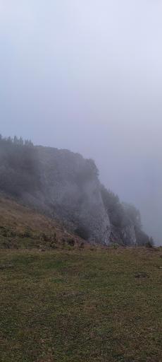 عکس شاه نشین (پش بالا)