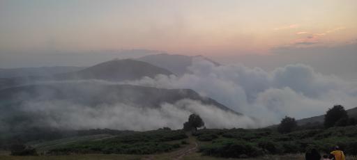 عکس شاه نشین (پش بالا)