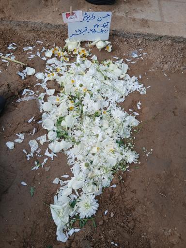 عکس مزار حسن داریوش