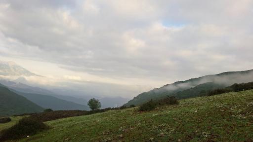 عکس شاه نشین (پش بالا)