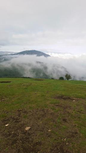 عکس شاه نشین (پش بالا)