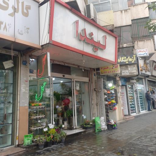 عکس گل فروشی لیندا