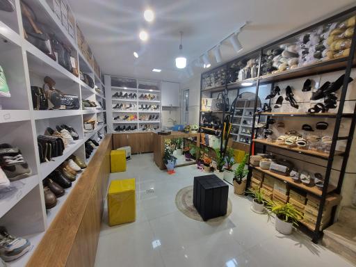 عکس کیف وکفش کارینا