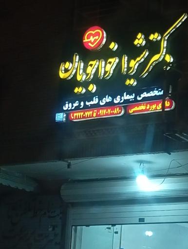 عکس دکتر شیوا خواجویان