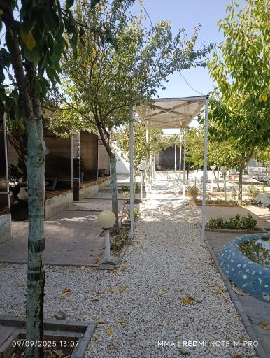 عکس کافه آرامش