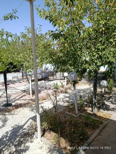 عکس کافه آرامش