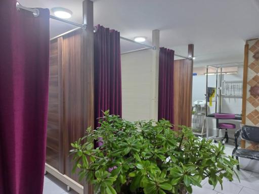 عکس فیزیوتراپی پالیز