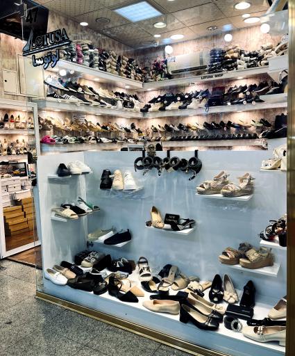 عکس کیف و کفش لوتوسا