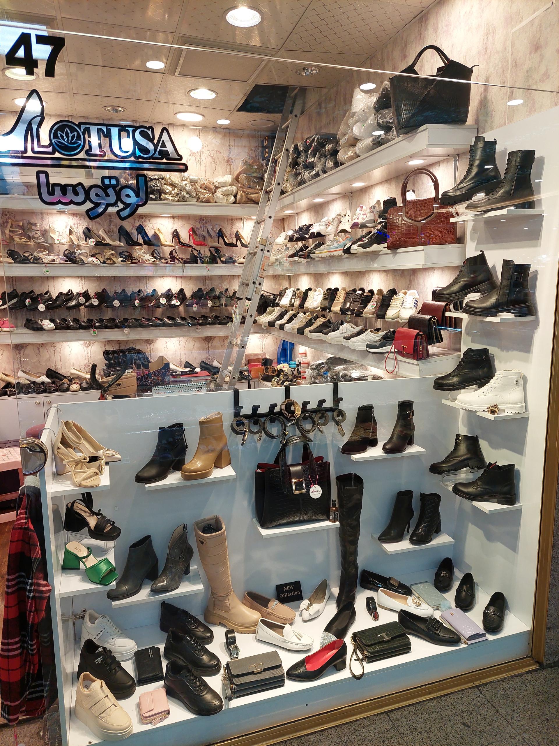عکس کیف و کفش لوتوسا