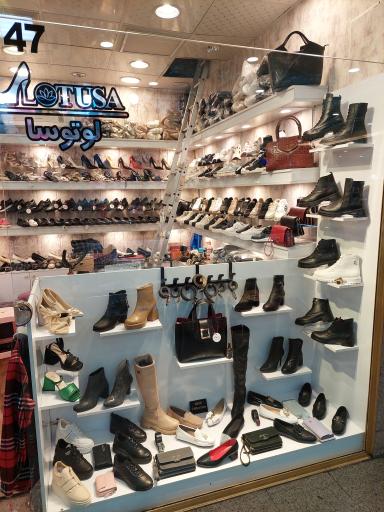 عکس کیف و کفش لوتوسا