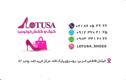 عکس کیف و کفش لوتوسا
