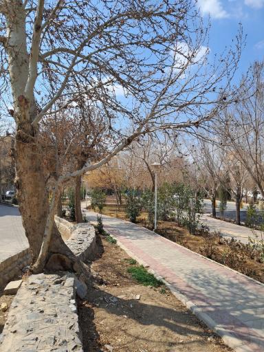 عکس بوستان روهام