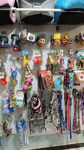 پت شاپ منو تو پت