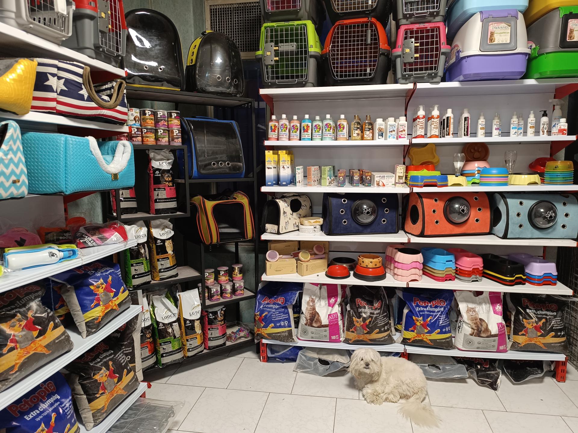 عکس پت شاپ منو تو پت