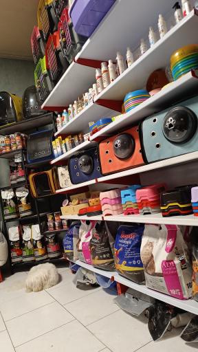 پت شاپ منو تو پت