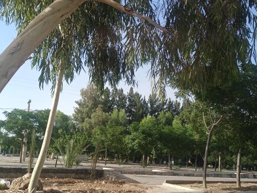 عکس بوستان آزادی فسا