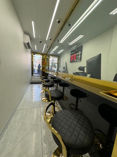 عکس سکه سین