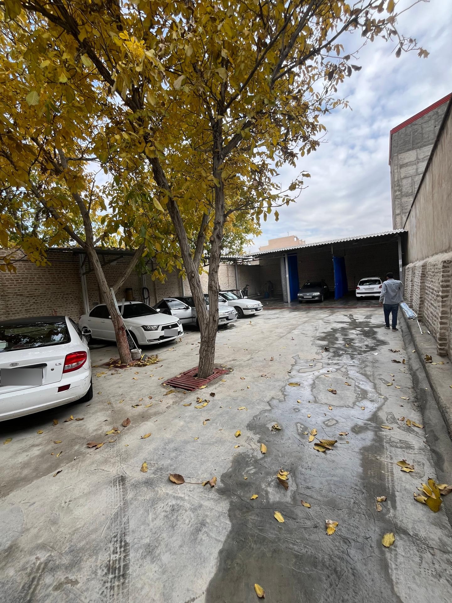 عکس کارواش شهر