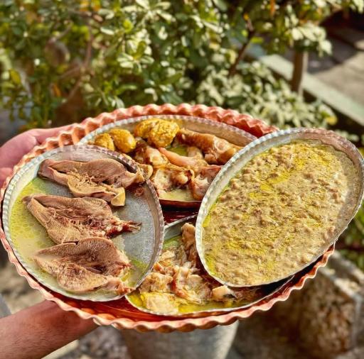 عکس طباخی ماهان