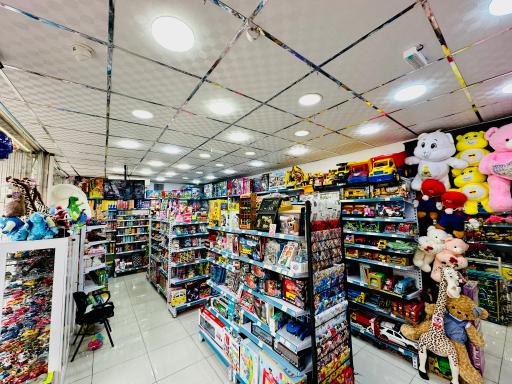 عکس فروشگاه اسباب بازی فانتزی تویز