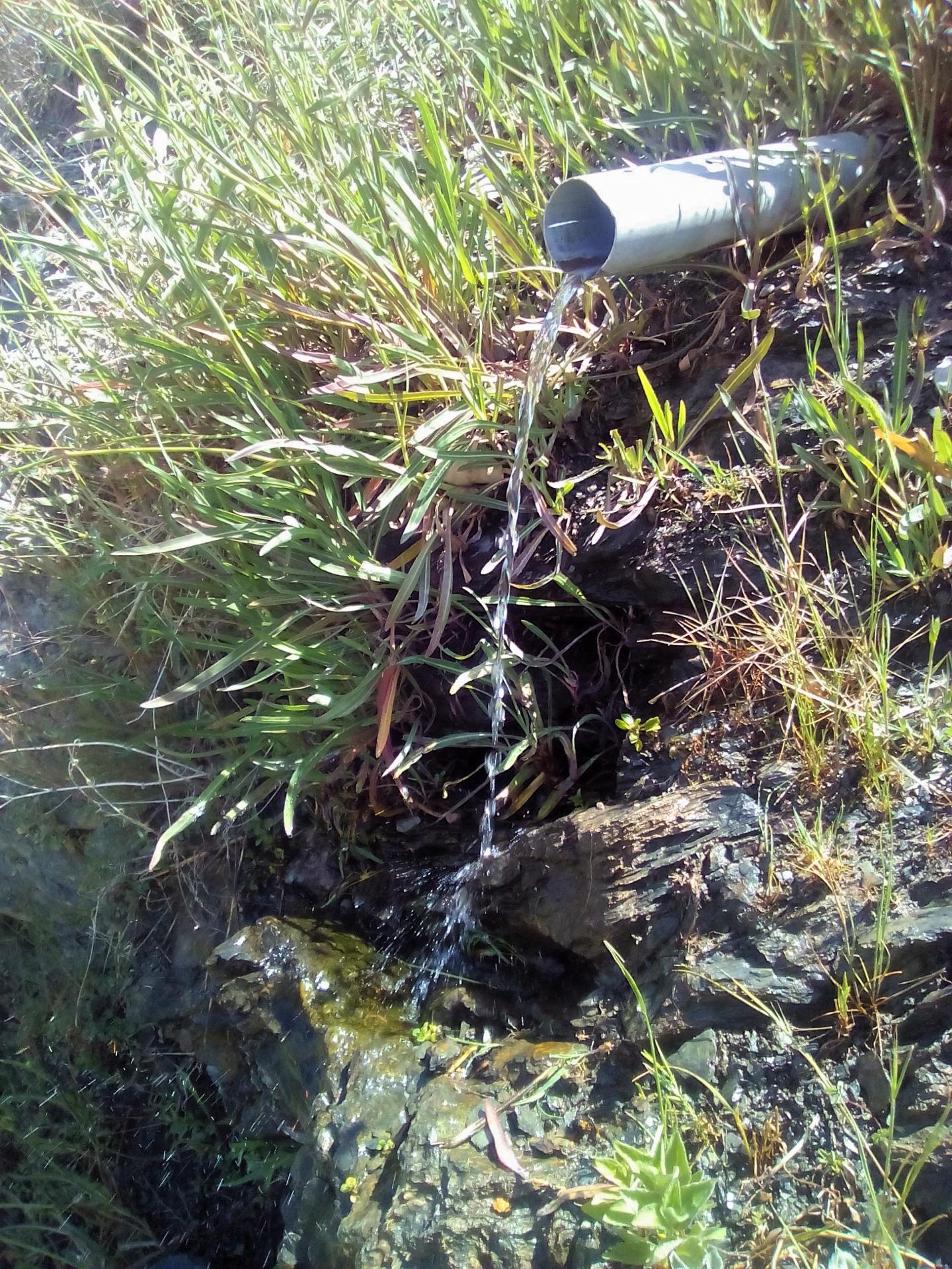 عکس چشمه گل و گل