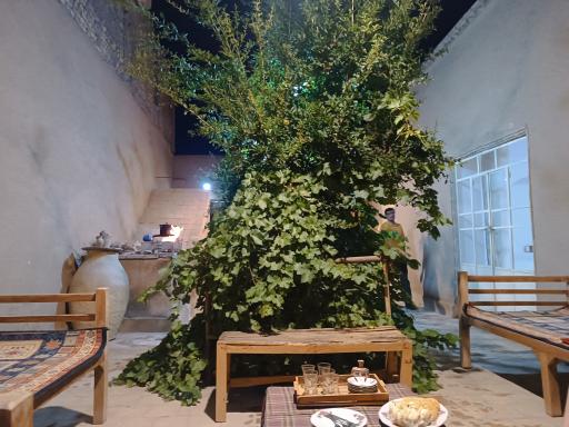 عکس بوم گردی نوش آفرین