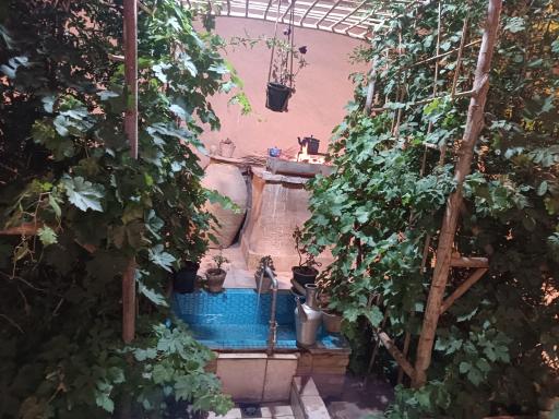 عکس بوم گردی نوش آفرین