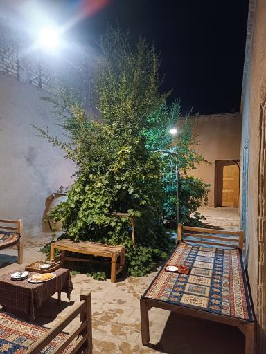 عکس بوم گردی نوش آفرین