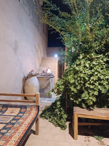 عکس بوم گردی نوش آفرین