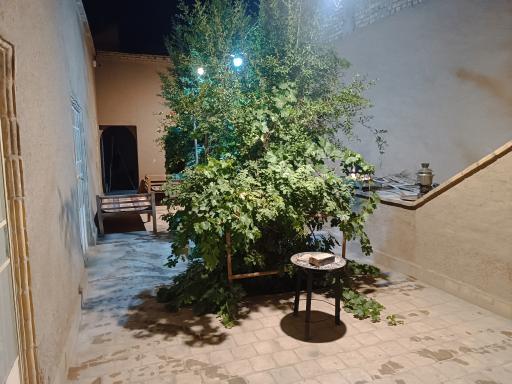 عکس بوم گردی نوش آفرین