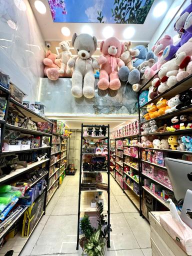 فروشگاه اسباب بازی فانتزی تویز