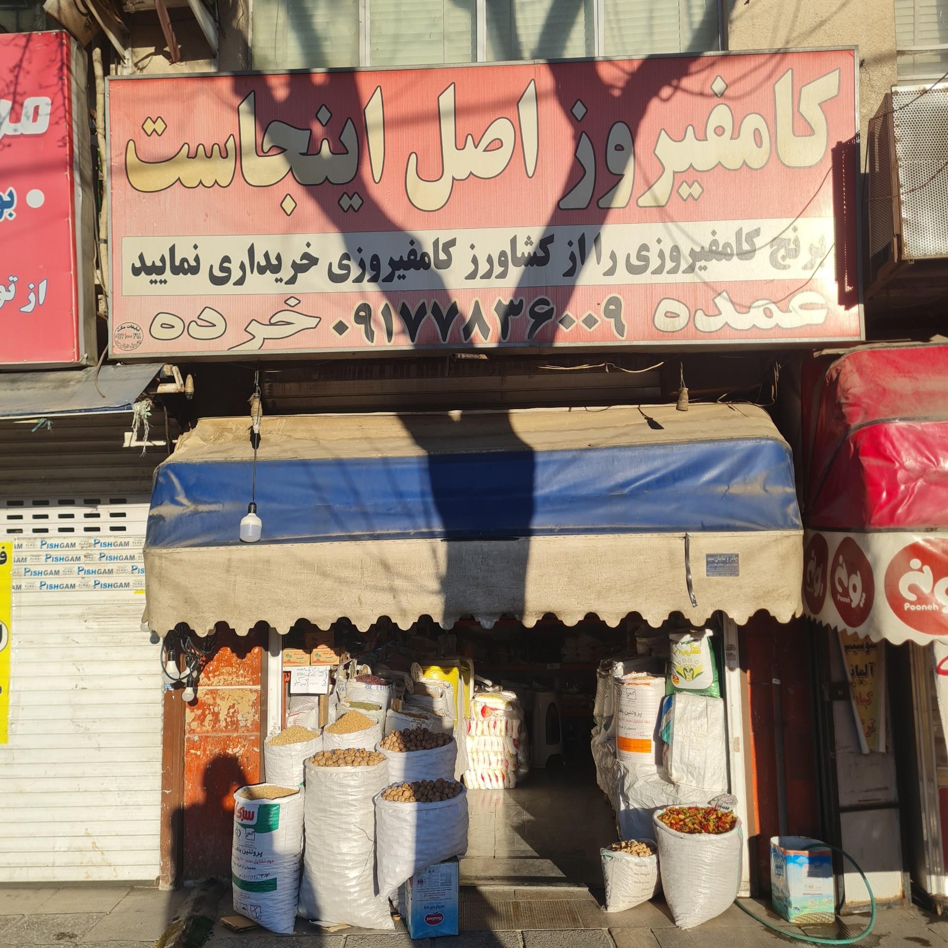 عکس برنج کامفیروز