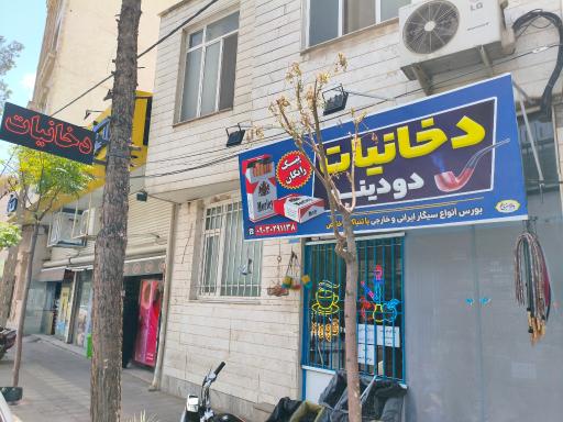 دخانیات دودینو